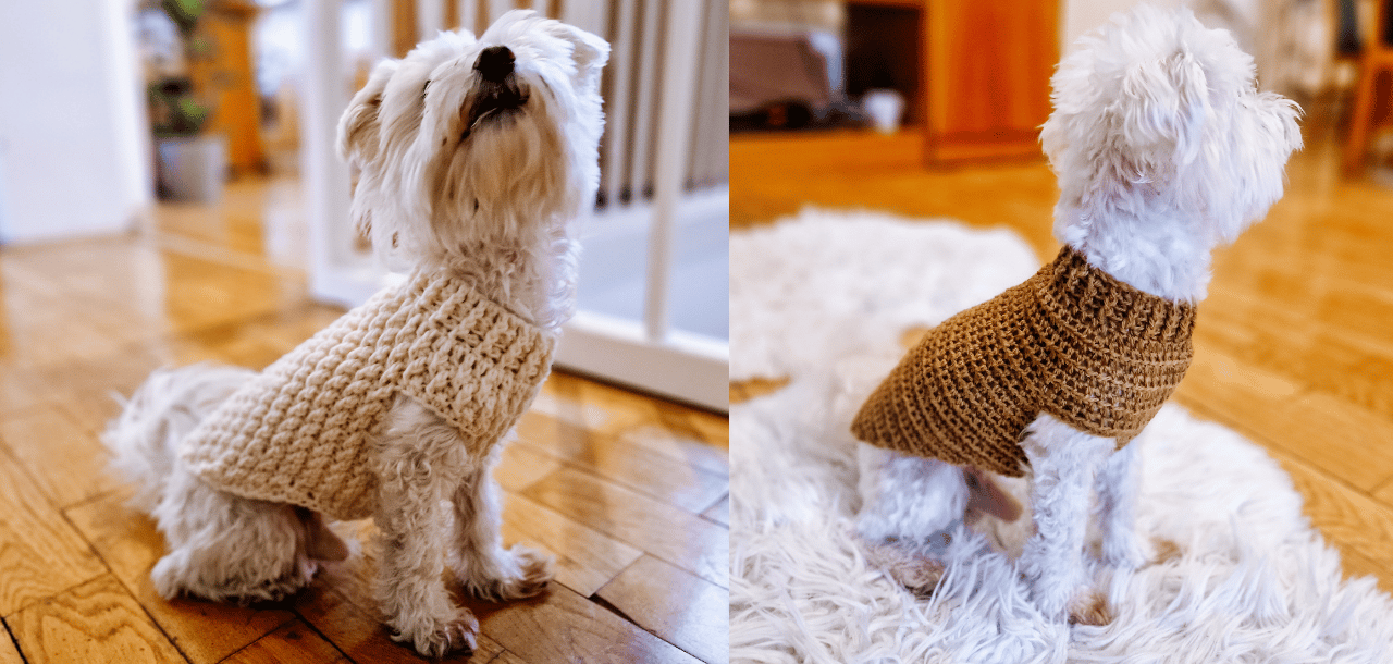 Two Dog Sweaters for Boy