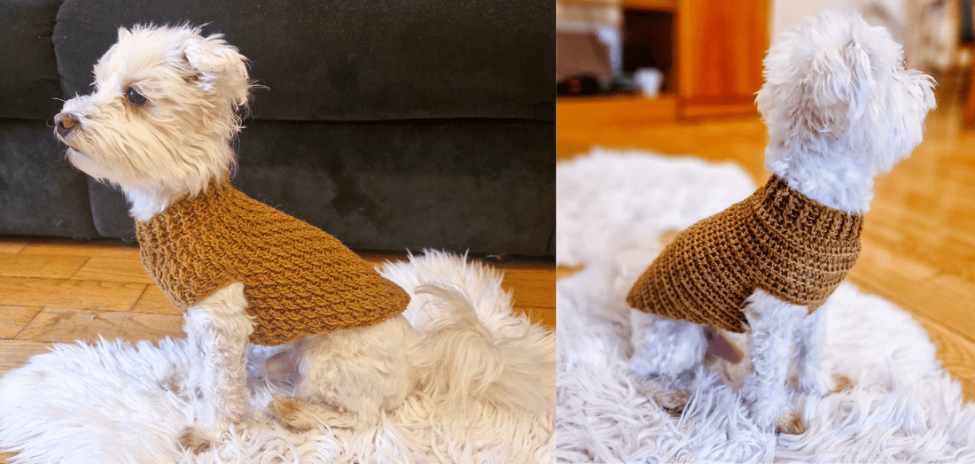 Two Dog Sweaters for Boy