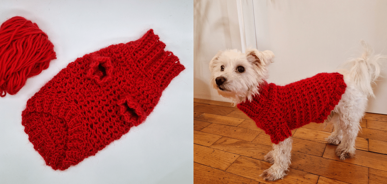Cowl Neck Dog Sweater