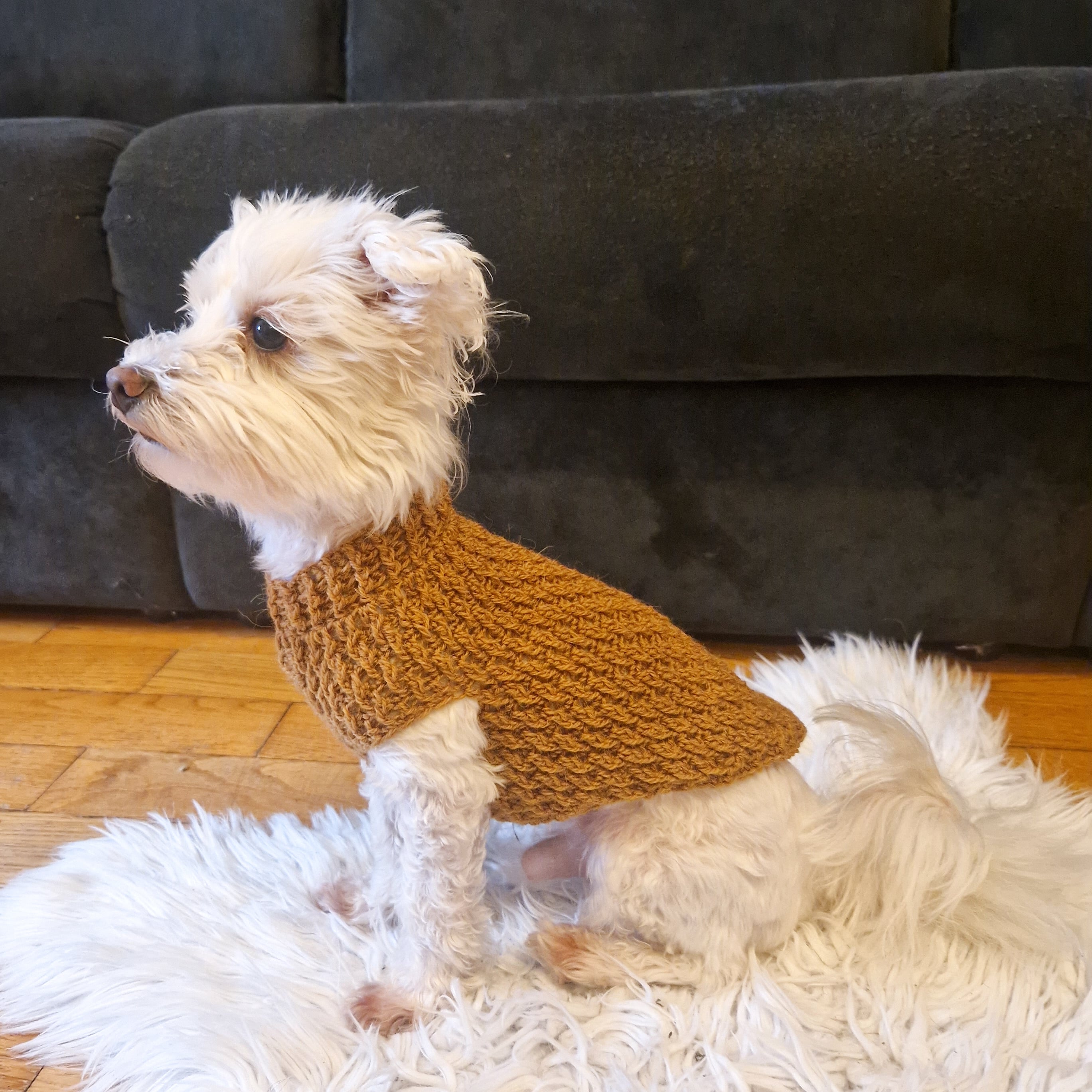 Alpine Dog Sweater