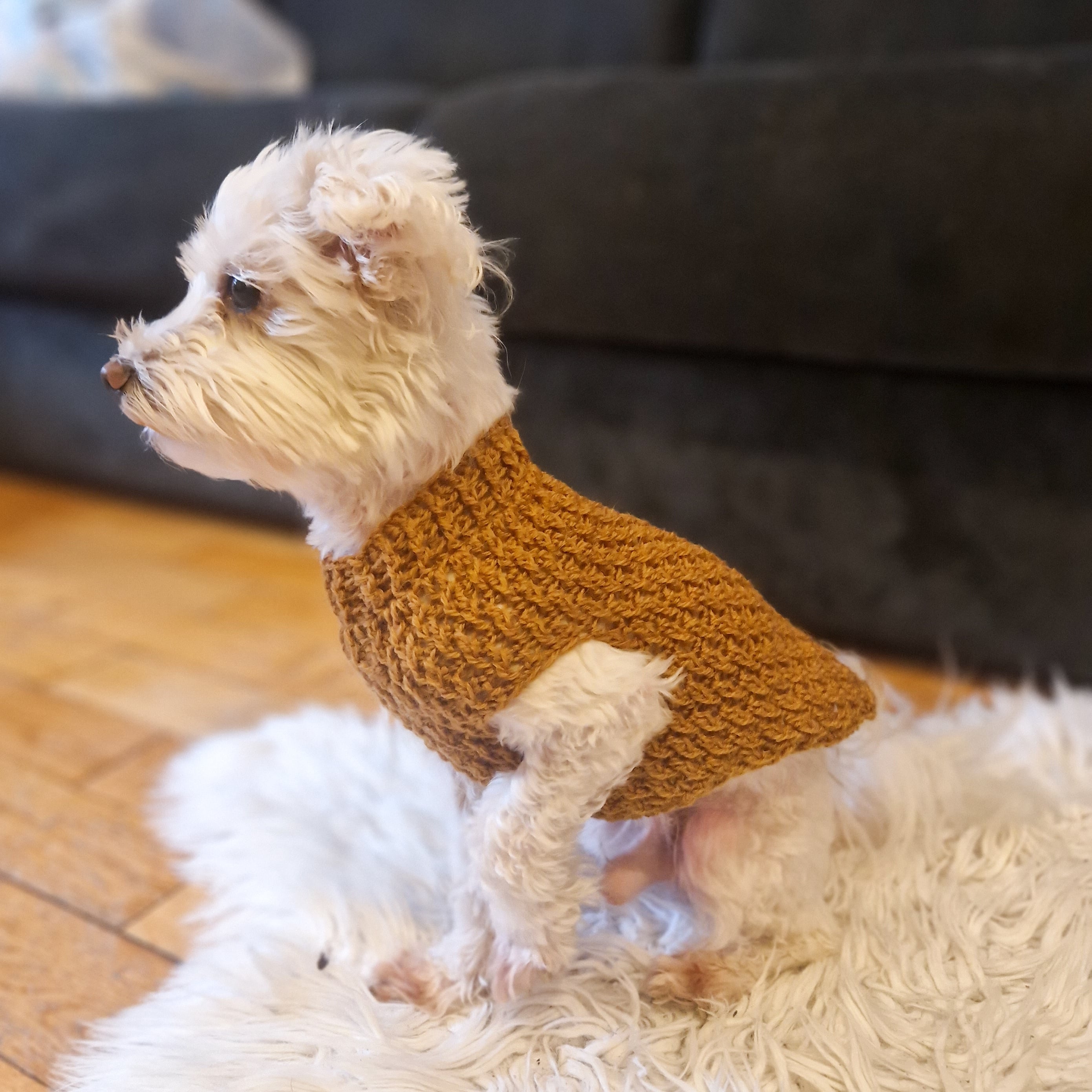 Alpine Dog Sweater