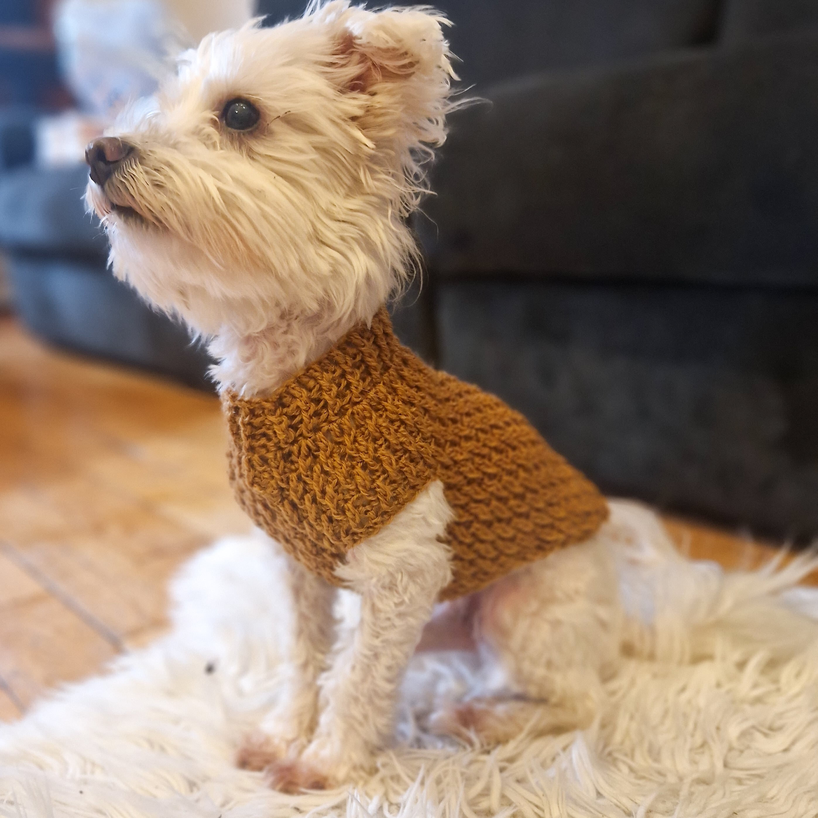 Alpine Dog Sweater