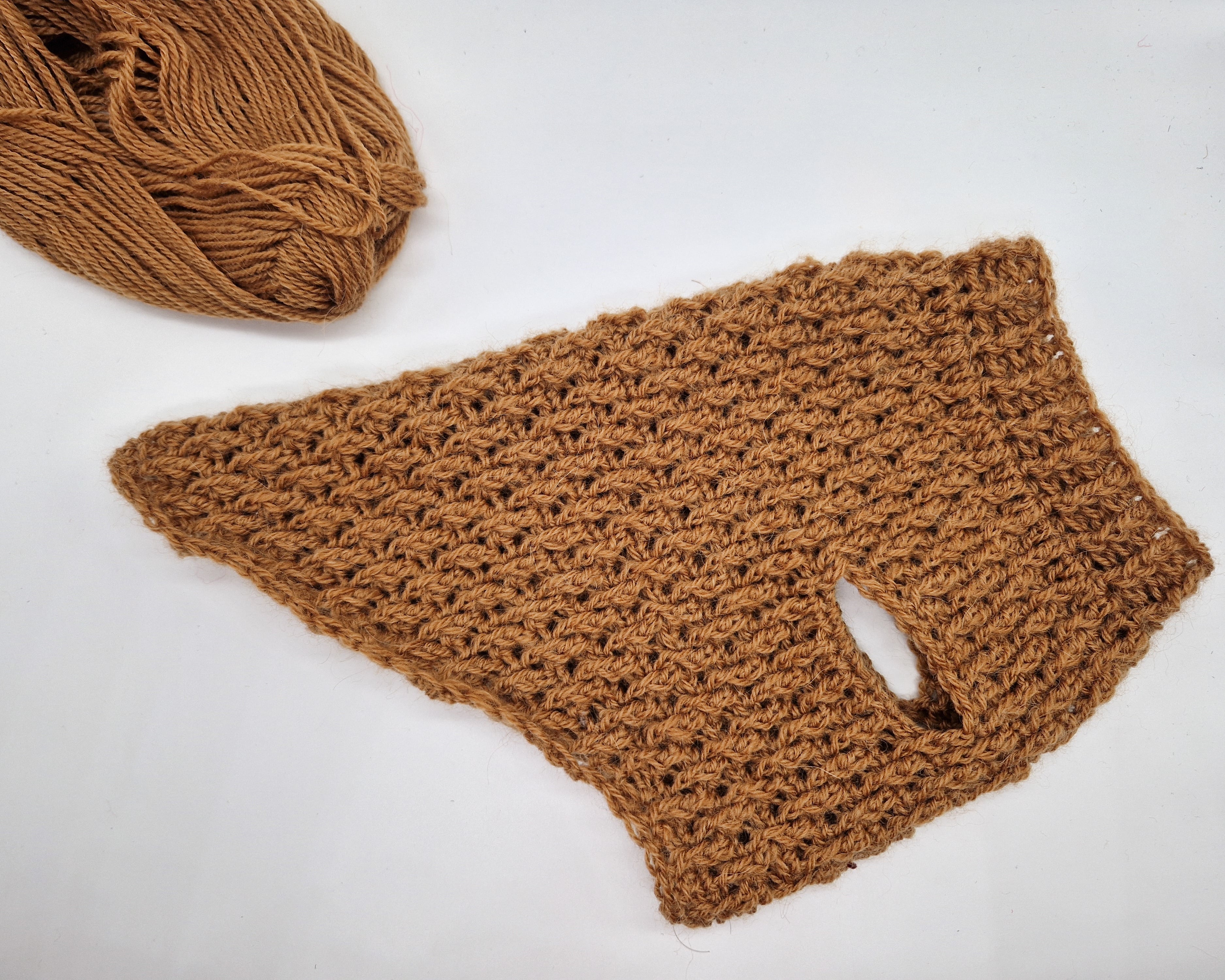 Alpine Dog Sweater | Crochet Pattern by Loops Only
