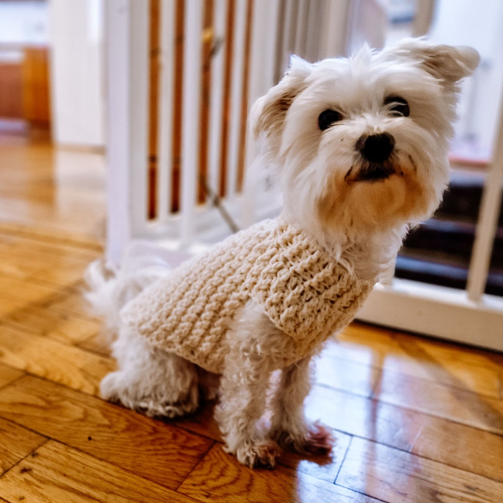 Alpine Dog Sweater