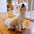 Loops Only Alpine dog sweater with cozy knit design, perfect for keeping your pet warm and stylish during colder weather.