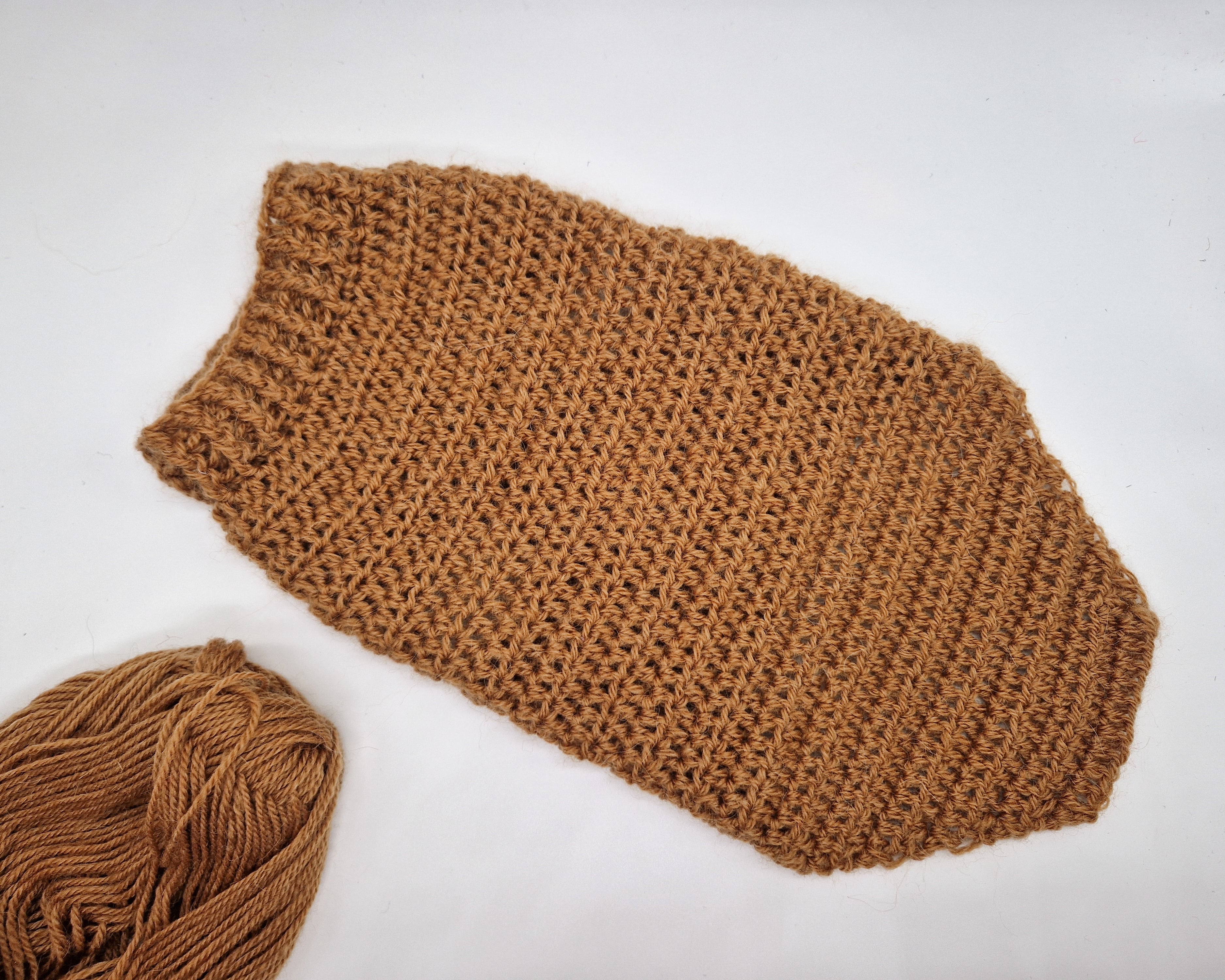 Beginner Dog Sweater