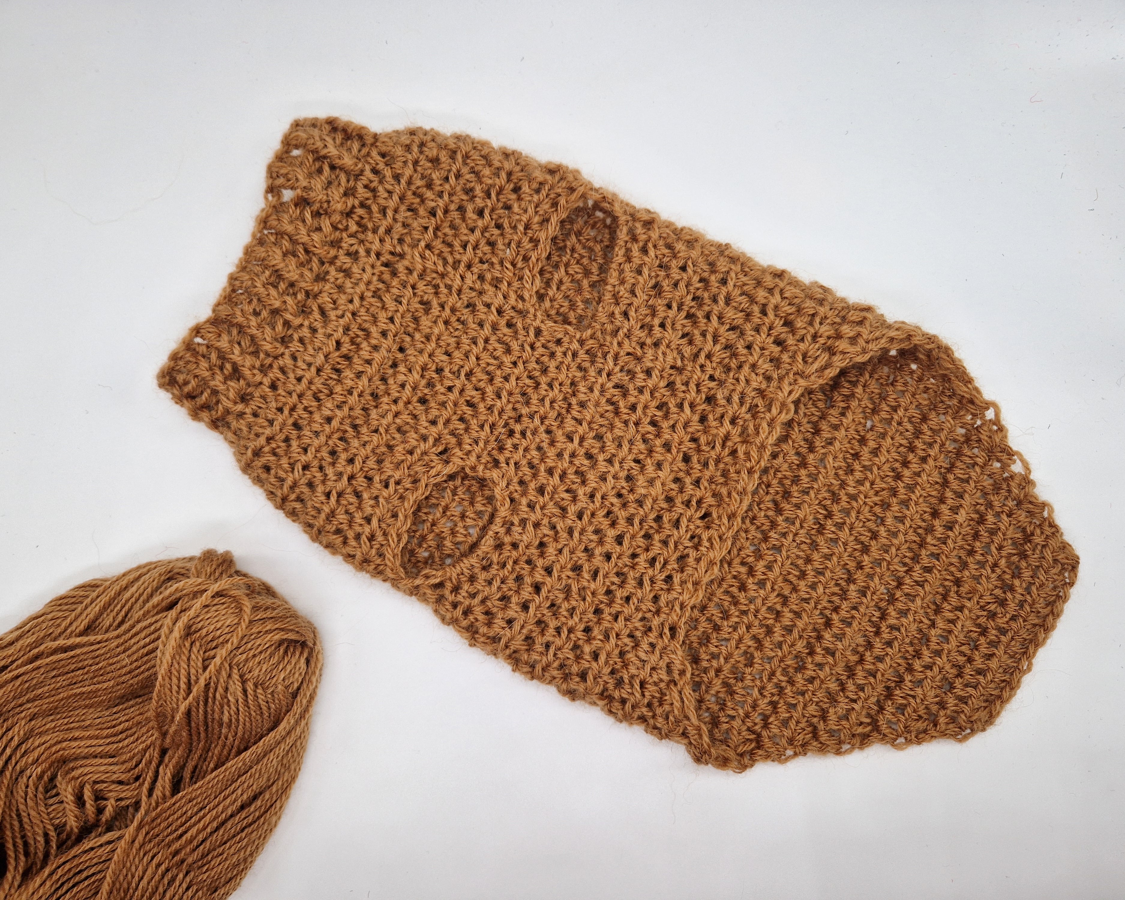 Beginner Dog Sweater