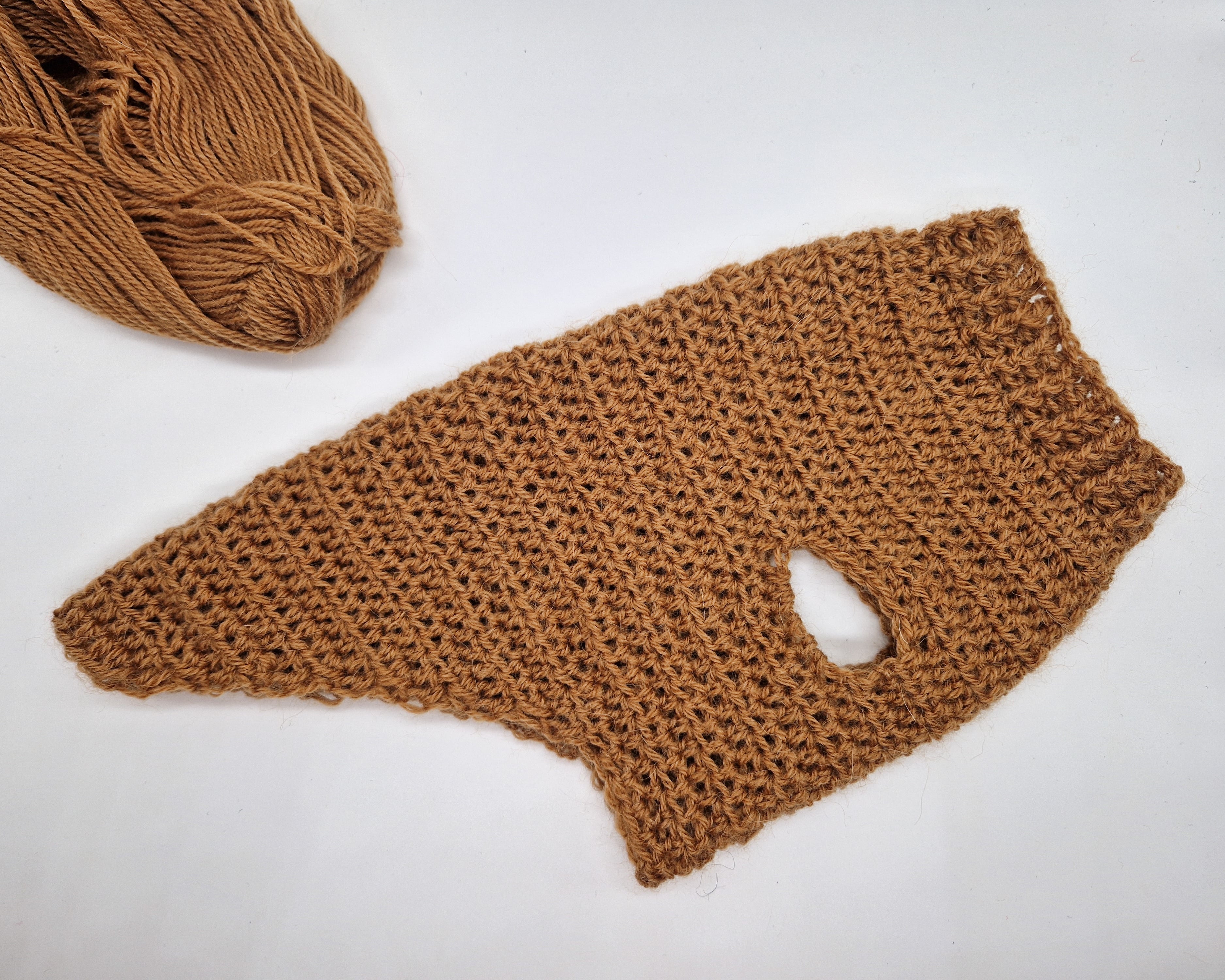 Beginner Dog Sweater