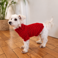 Cowl Neck Dog Sweater