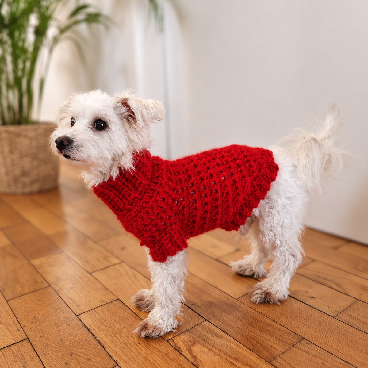 Cowl Neck Dog Sweater