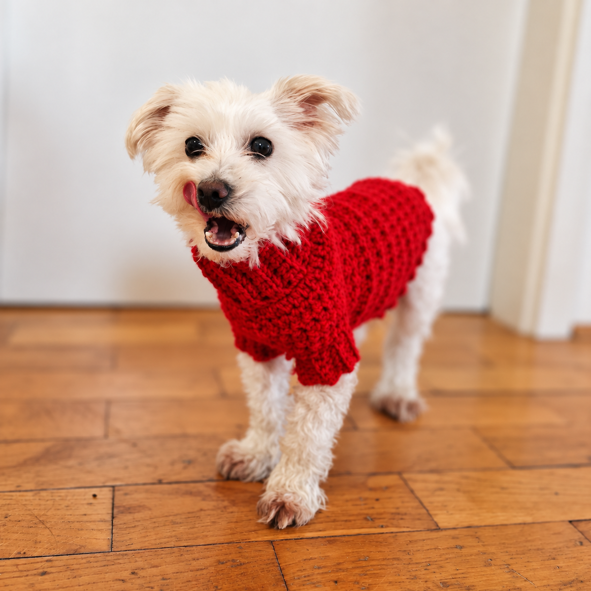 Cowl Neck Dog Sweater