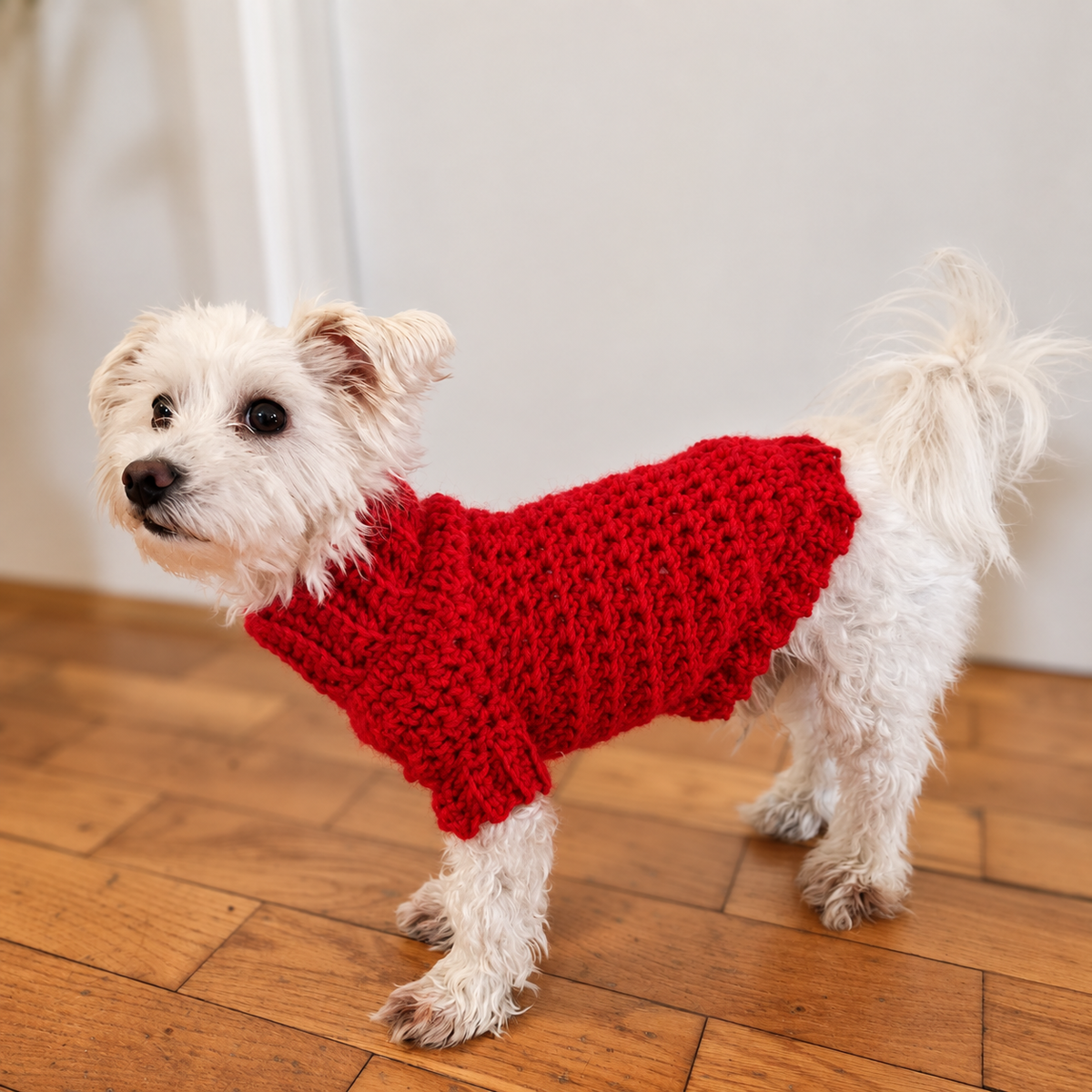 Cowl Neck Dog Sweater