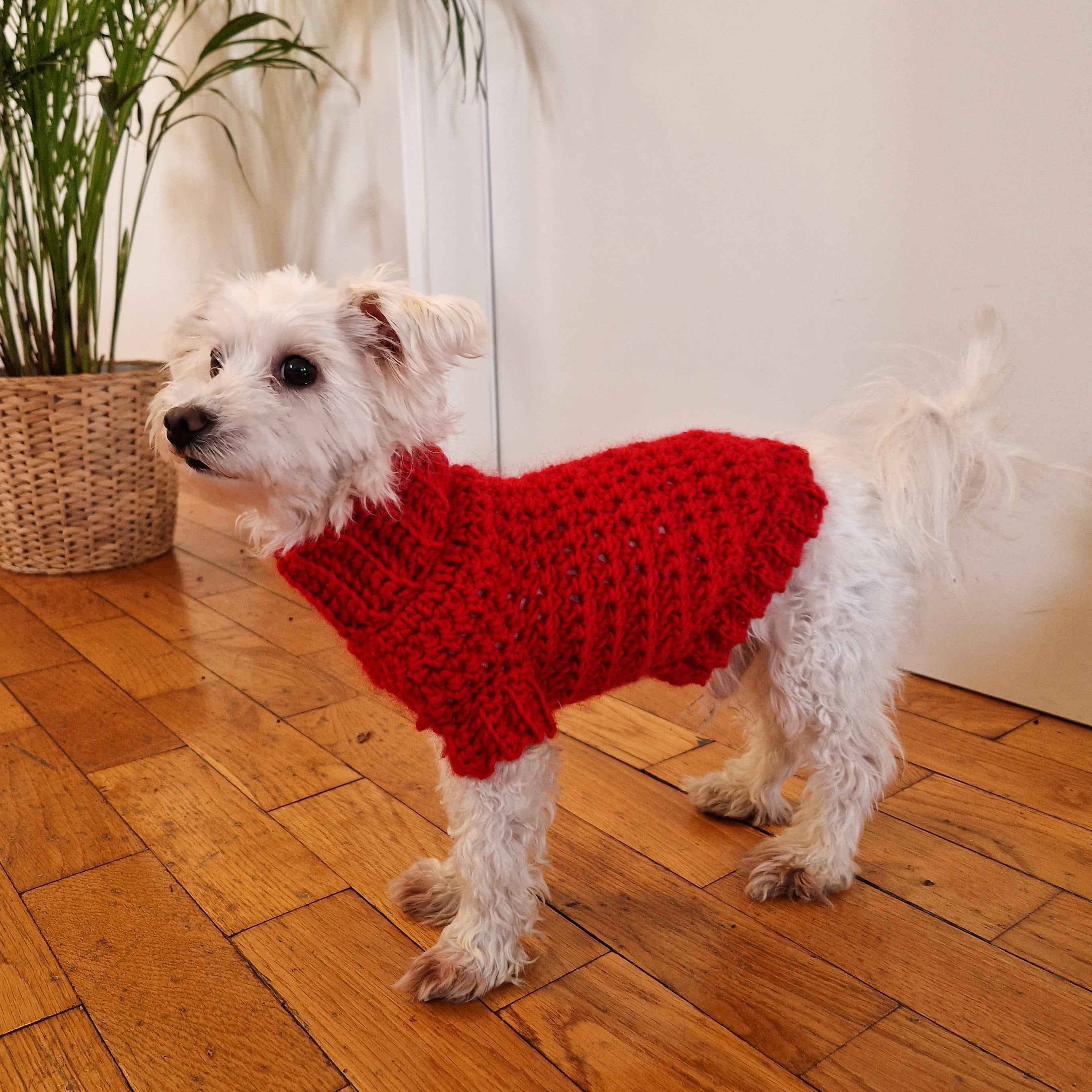 Cowl Neck Dog Sweater