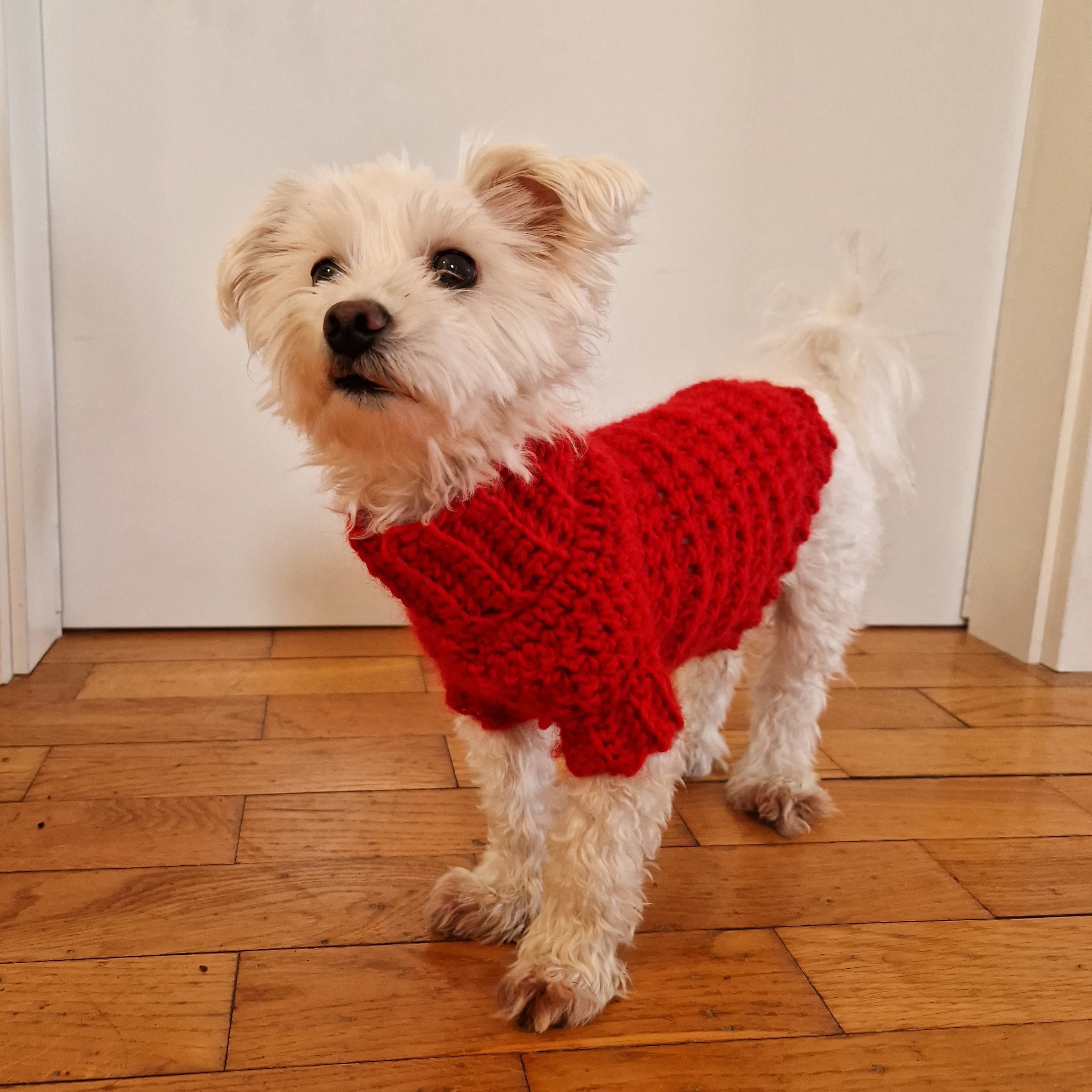 Cowl Neck Dog Sweater