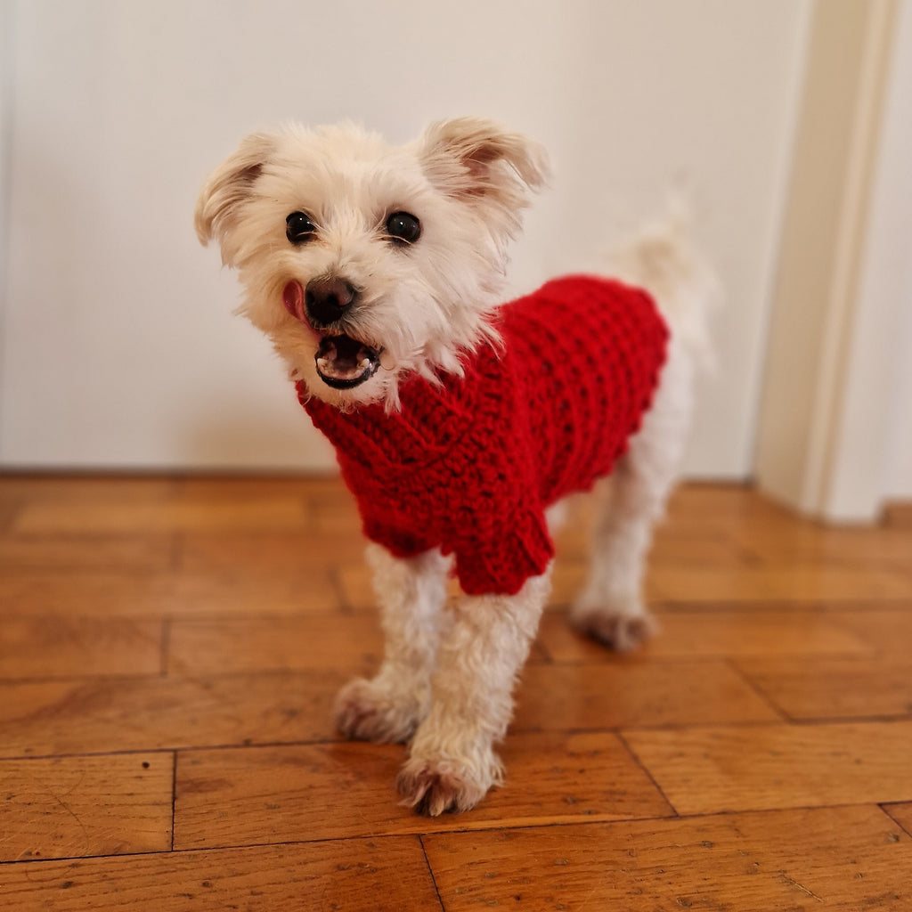 Cowl Neck Dog Sweater