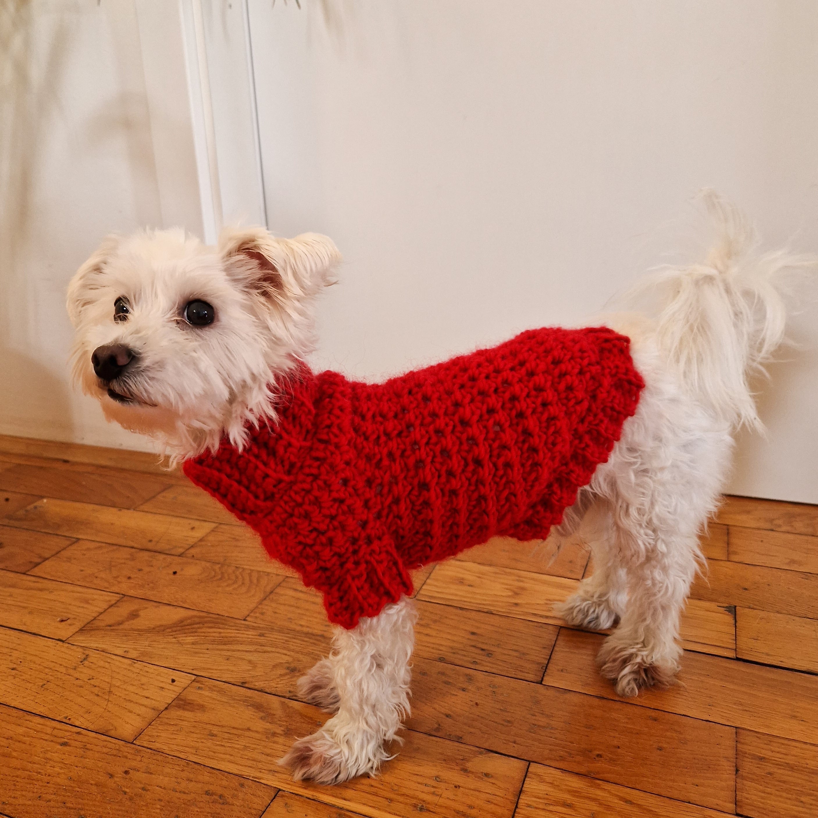 free crochet dog dress patterns Cowl Neck Dog Sweater free crochet dog dress patterns Cowl Neck Dog Sweater